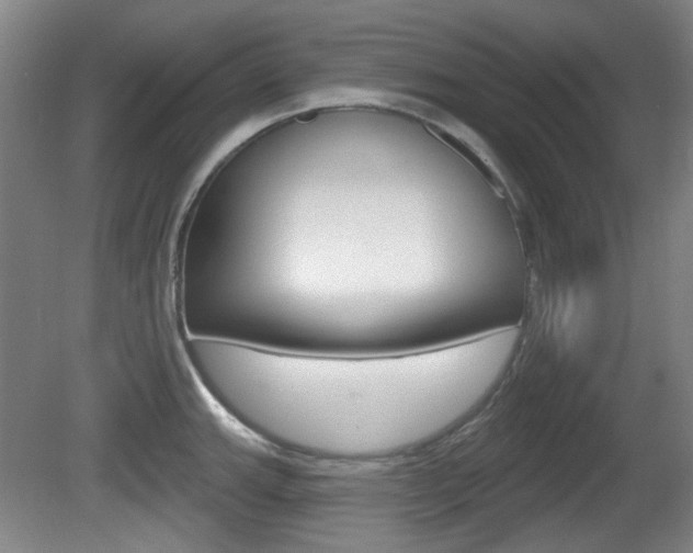 X0000081561143200701150953