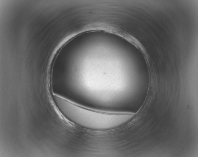 X0000081561144200701150953