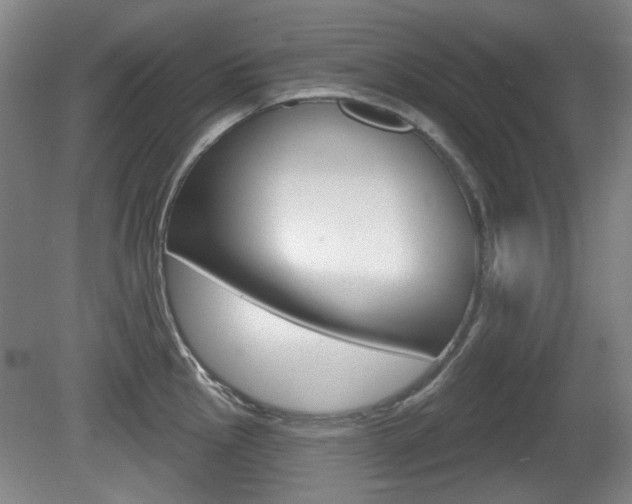 X0000081561145200701150953