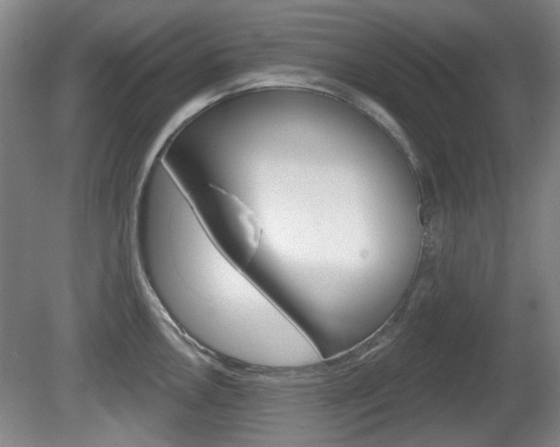 X0000081561146200701150953