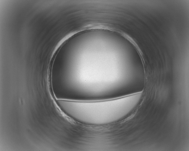 X0000081561149200701150953