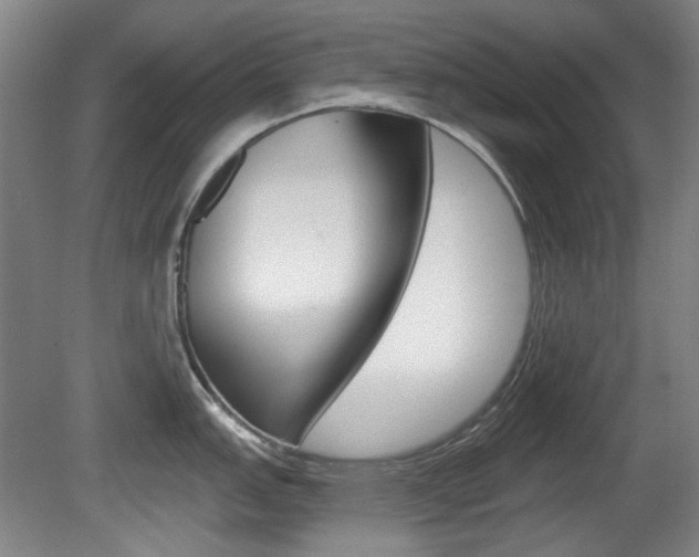 X0000081561151200701150953