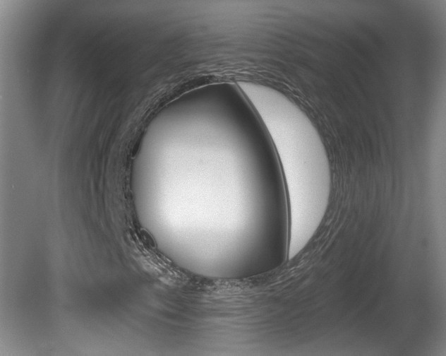 X0000081561153200701150952