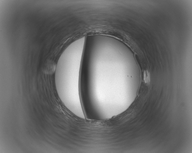 X0000081561155200701150952