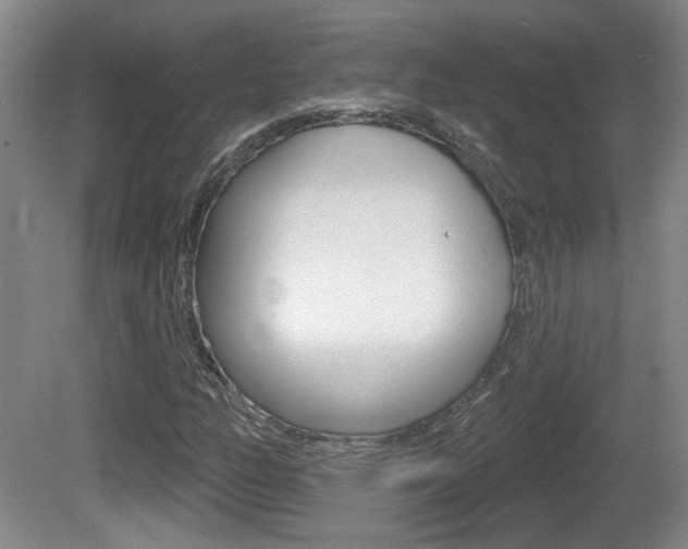 X0000081561158200701150952