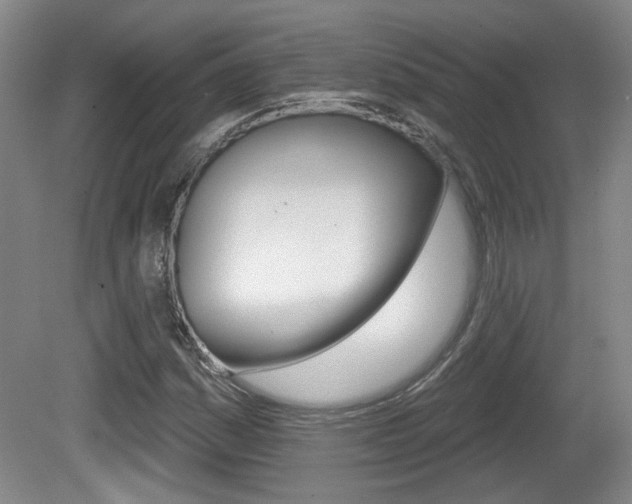 X0000081561161200701150952