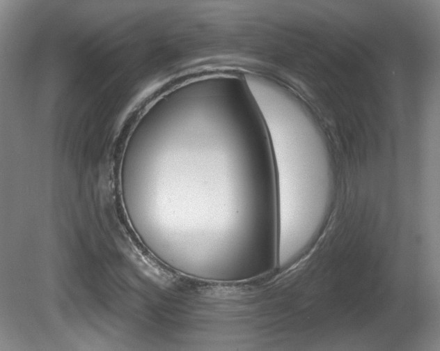X0000081561164200701150952