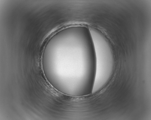X0000081561165200701150952
