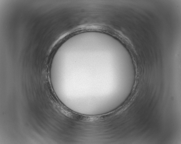 X0000081561166200701150952