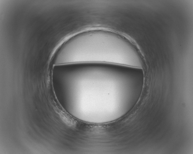 X0000081561167200701150952