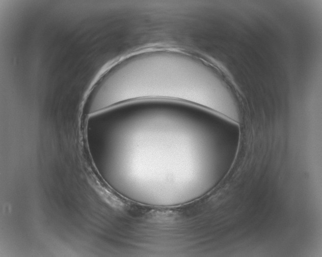 X0000081561168200701150952