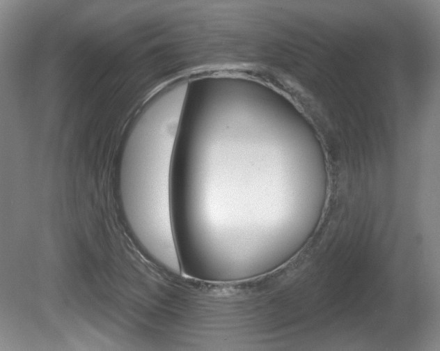 X0000081561169200701150952