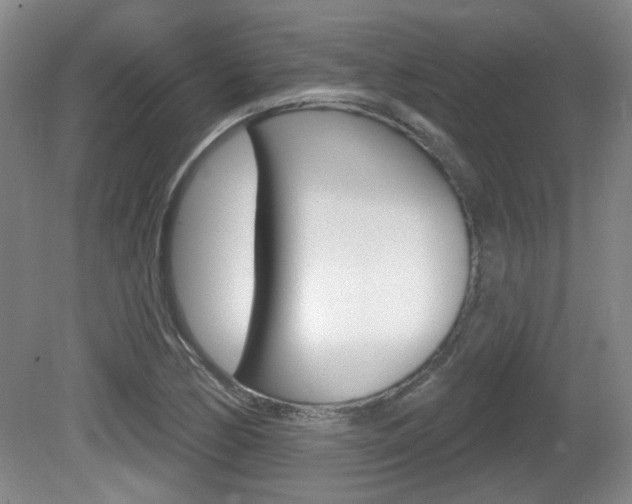 X0000081561170200701150952