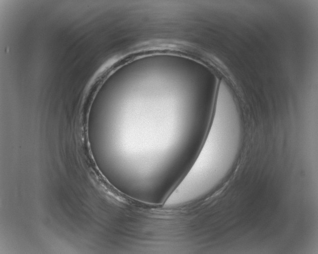 X0000081561172200701150952