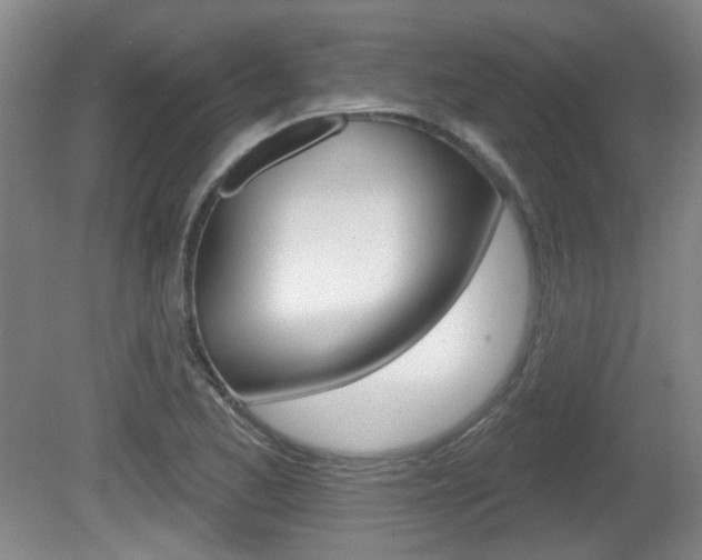 X0000081561173200701150952