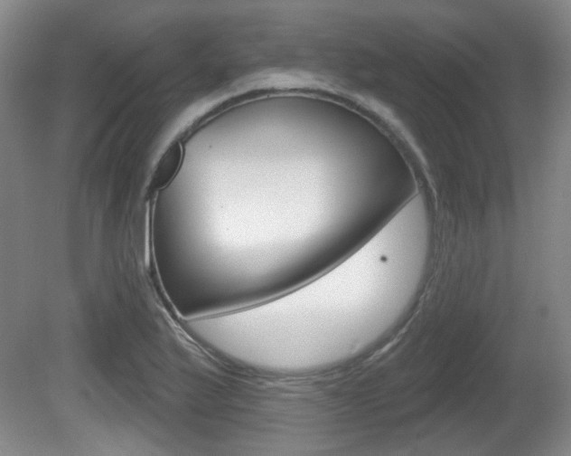 X0000081561175200701150952