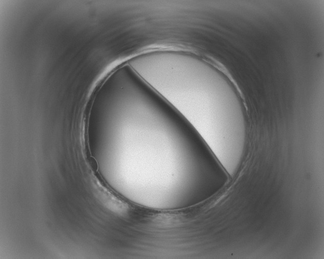 X0000081561179200701150952