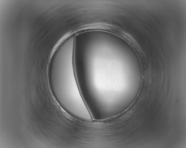 X0000081561180200701150952