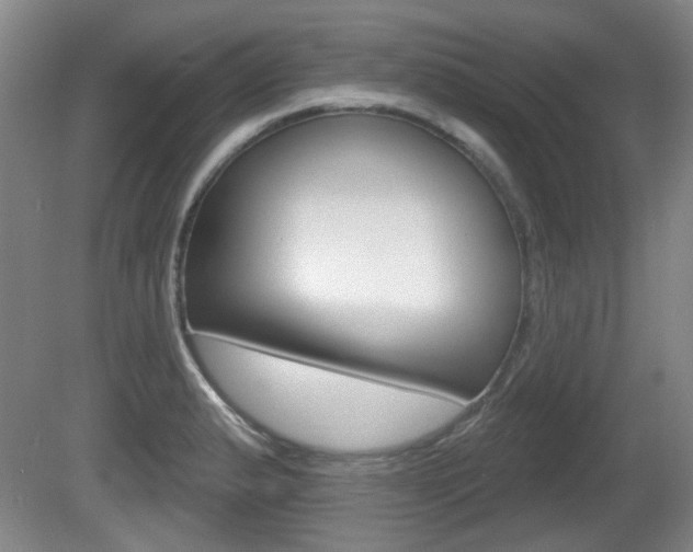 X0000081561183200701150952
