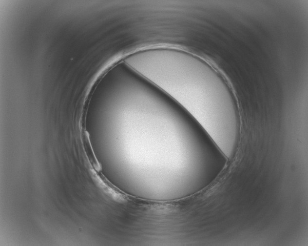 X0000081561189200701150952