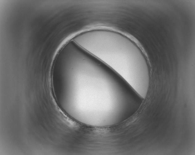 X0000081561191200701150951