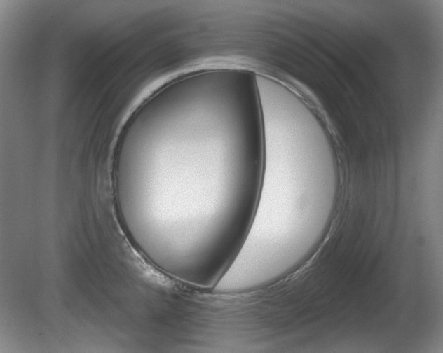 X0000081561192200701150951