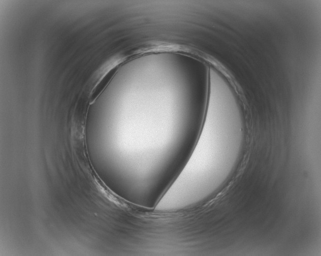 X0000081561193200701150951