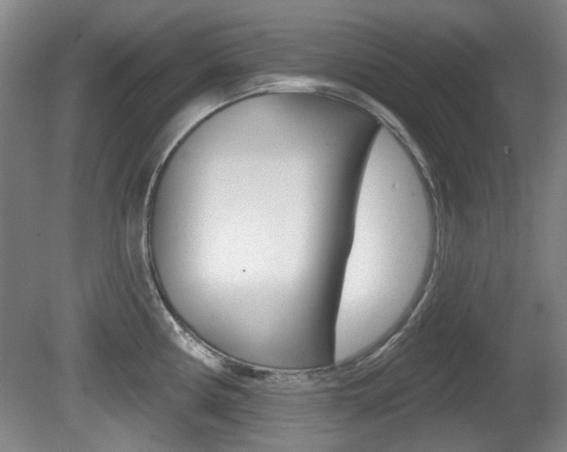 X0000081561194200701150951
