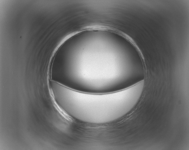 X0000081561195200701150951
