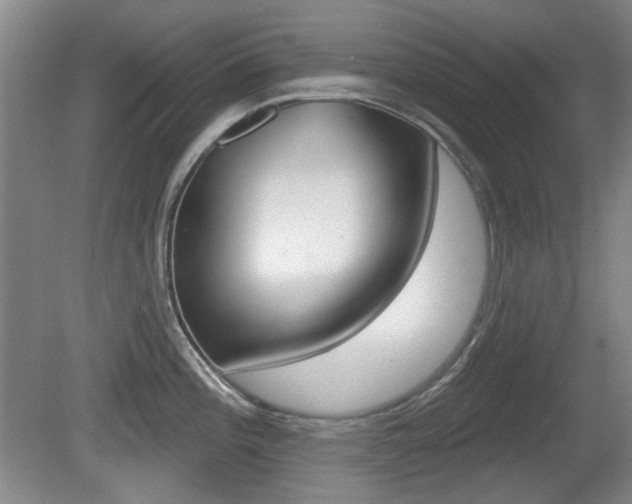 X0000081561196200701150951