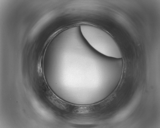 X0000081561198200701150951