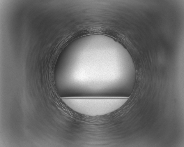 X0000081561201200701150951
