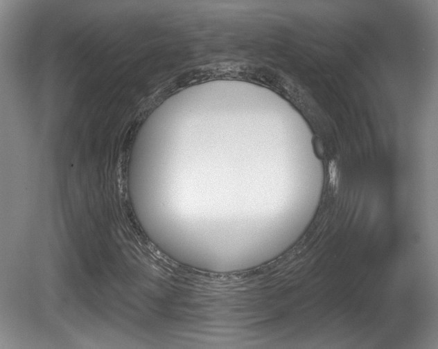 X0000081561203200701150951