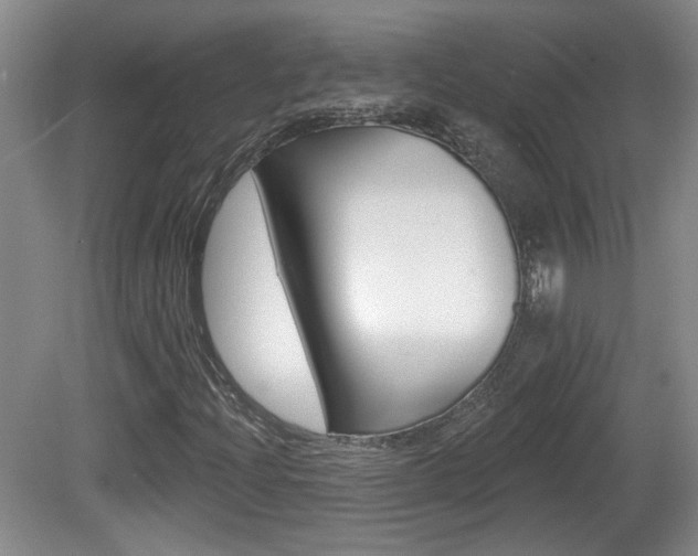 X0000081561204200701150951