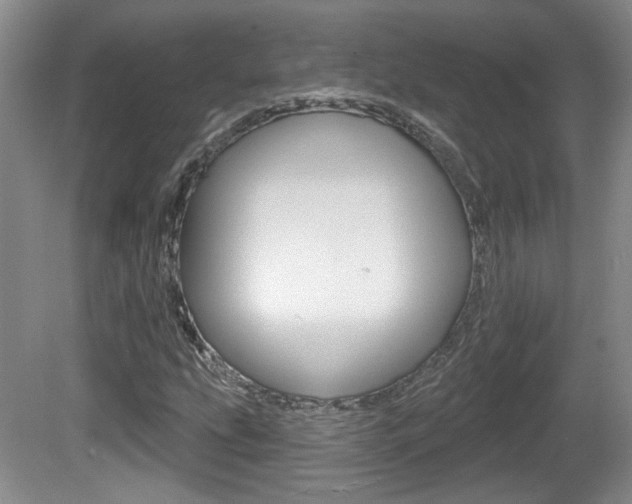 X0000081561207200701150951