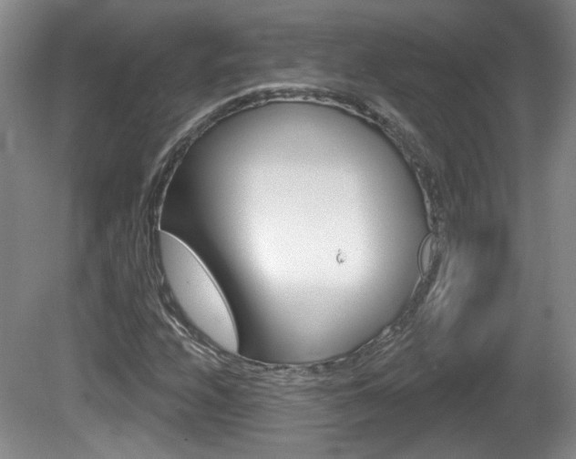 X0000081561208200701150951