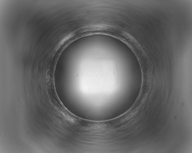 X0000081561210200701150951