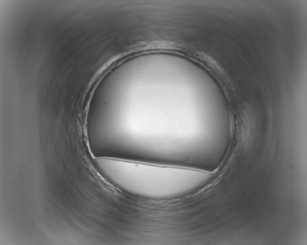 X0000081561212200701150951