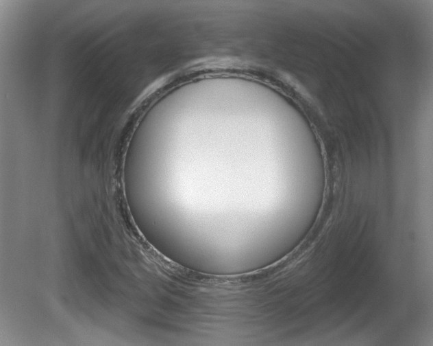 X0000081561213200701150951