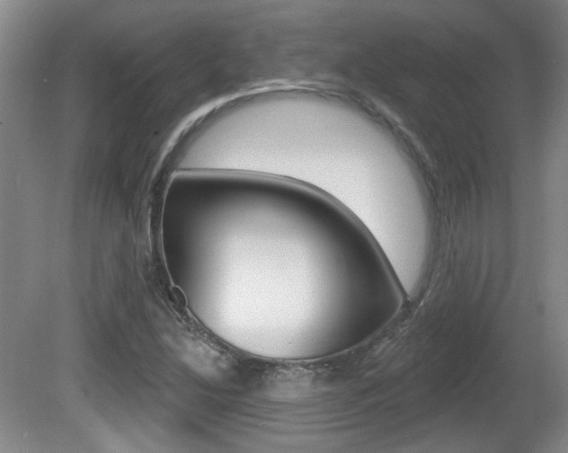 X0000081561214200701150951