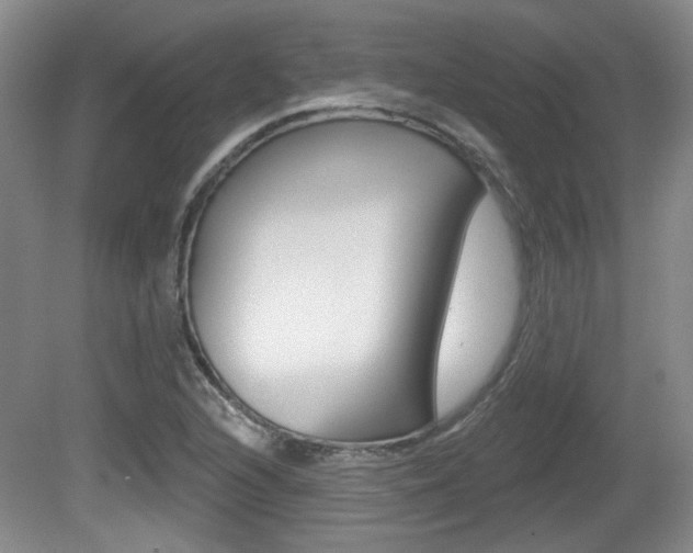 X0000081561216200701150951