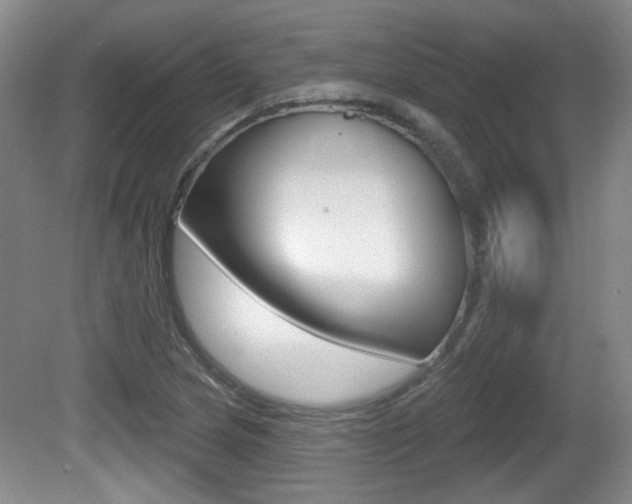 X0000081561217200701150951