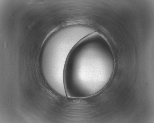 X0000081561218200701150951