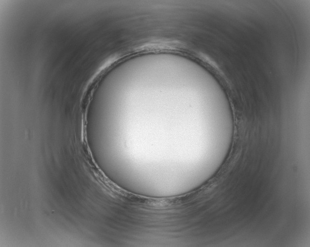 X0000081561219200701150951