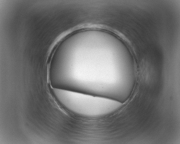 X0000081561223200701150951