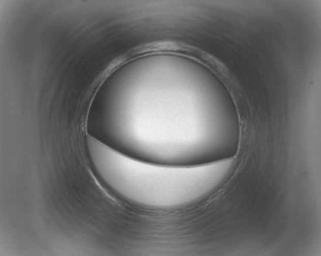 X0000081561225200701150951