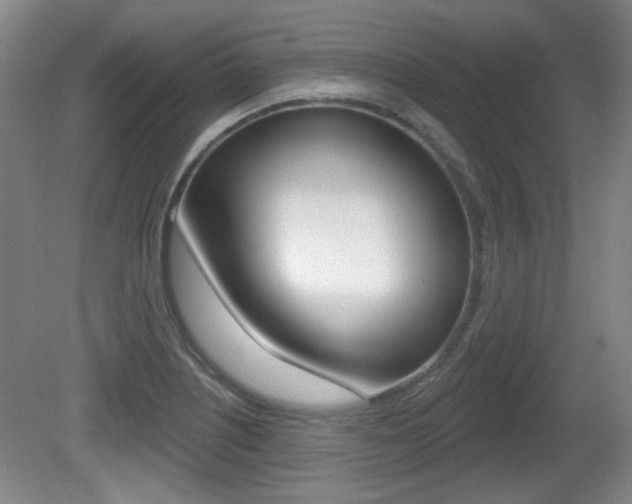 X0000081561226200701150951