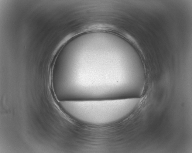 X0000081561227200701150951