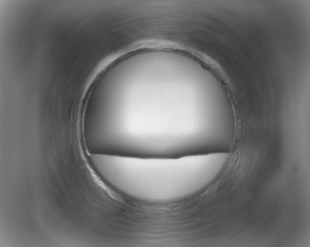 X0000081561231200701150951