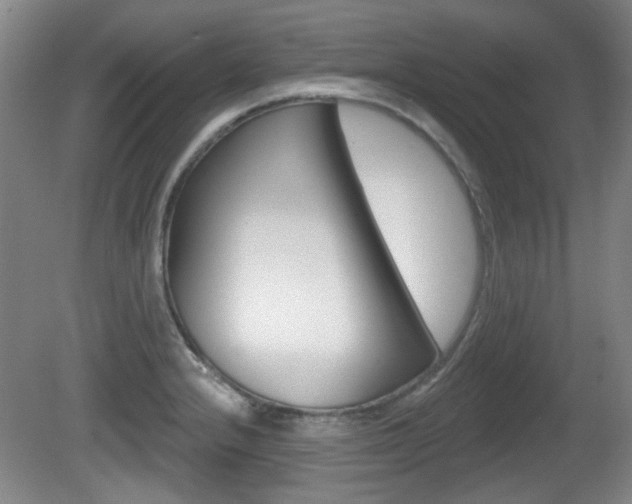X0000081561232200701150951